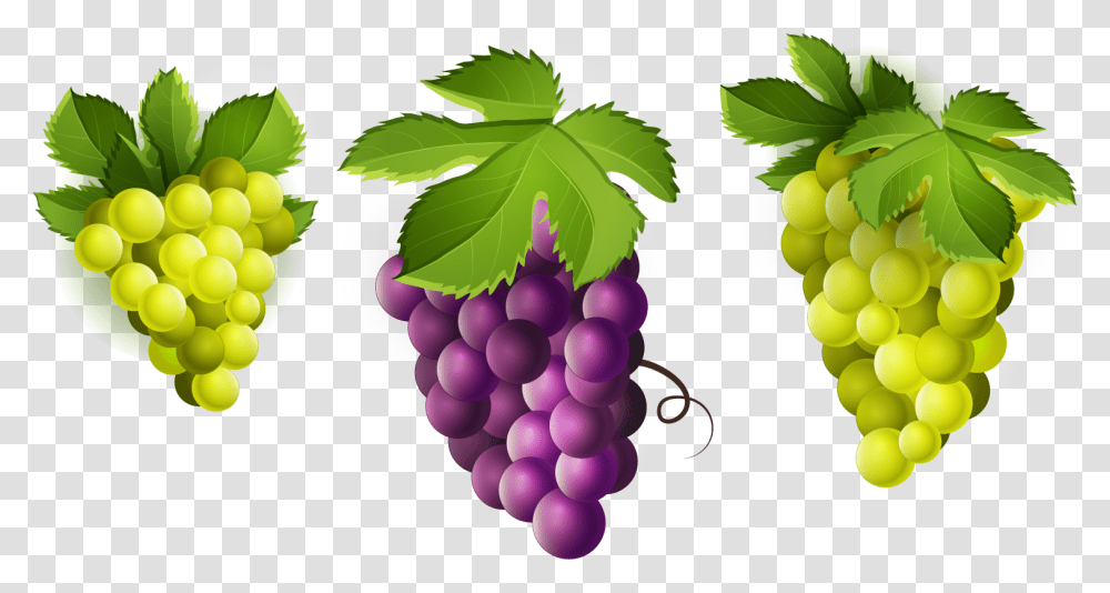 Grape Clipart Image Green Grapes Clip Art, Plant, Fruit, Food Transparent Png