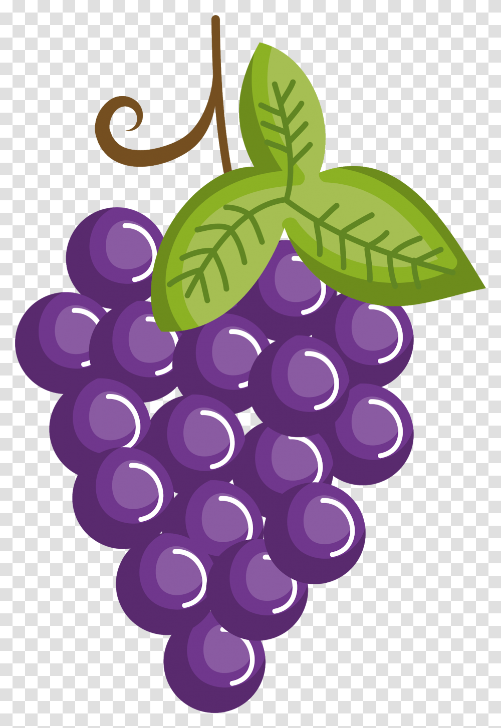 Grape Clipart, Plant, Grapes, Fruit, Food Transparent Png