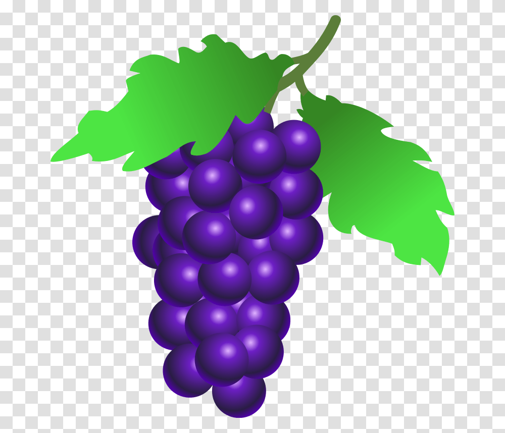 Grape Clipart Two, Grapes, Fruit, Plant, Food Transparent Png
