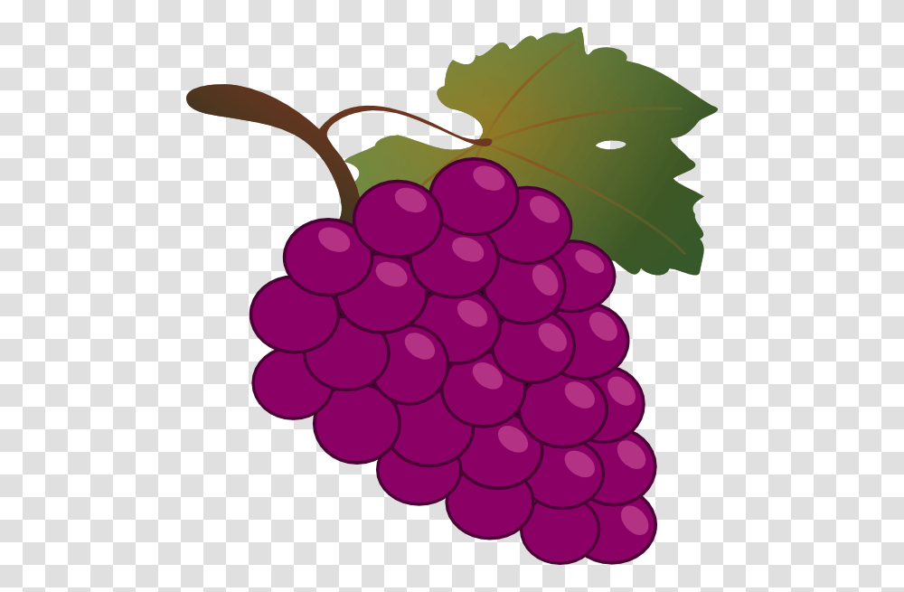 Grape Clipart Vector Clip Art Images, Plant, Grapes, Fruit, Food Transparent Png