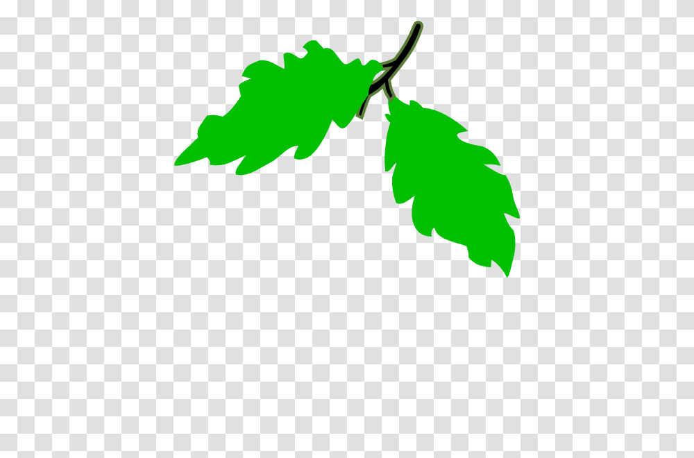 Grape Cluster Black Clip Art, Leaf, Plant, Green, Jar Transparent Png