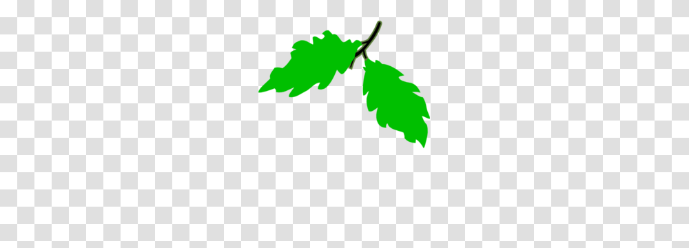 Grape Cluster Clip Art, Leaf, Plant, Green, Tree Transparent Png