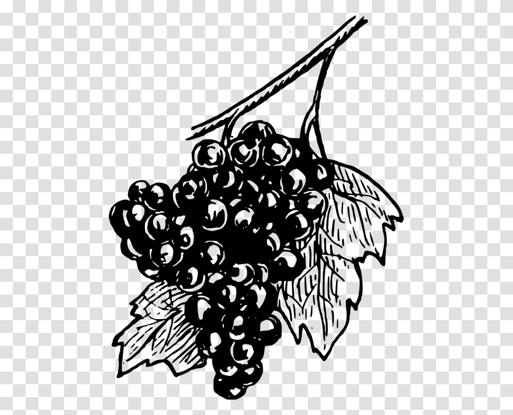 Grape Drawing Wine Black And White Open Grapes, Gray, World Of Warcraft Transparent Png
