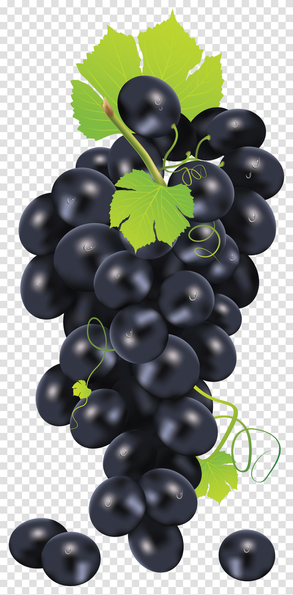 Grape, Fruit, Grapes, Plant, Food Transparent Png