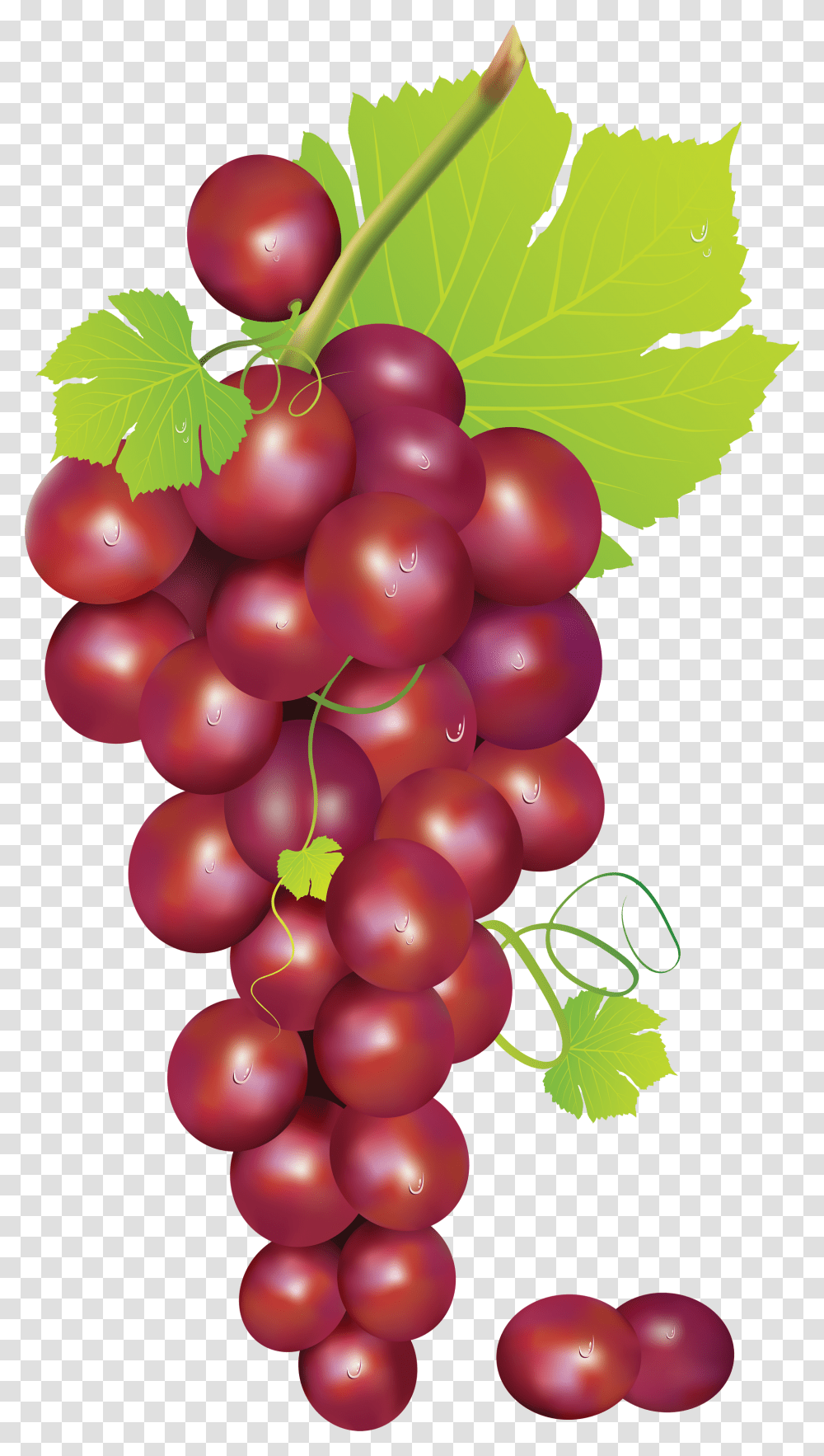 Grape, Fruit, Grapes, Plant, Food Transparent Png