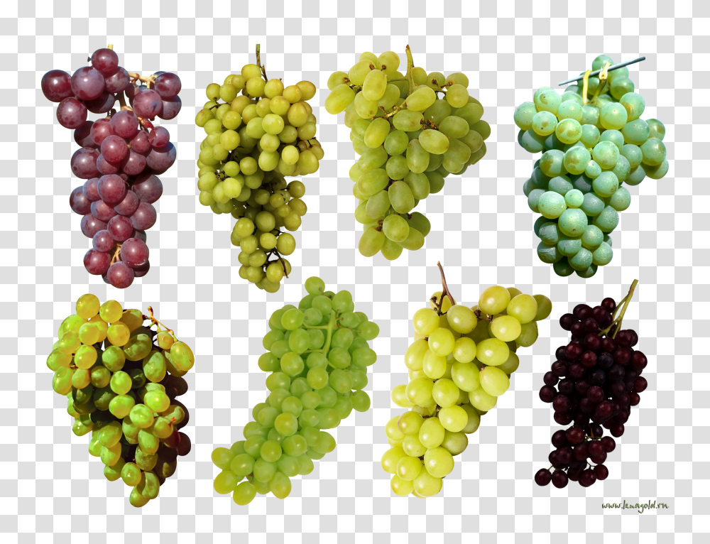 Grape, Fruit, Grapes, Plant, Food Transparent Png