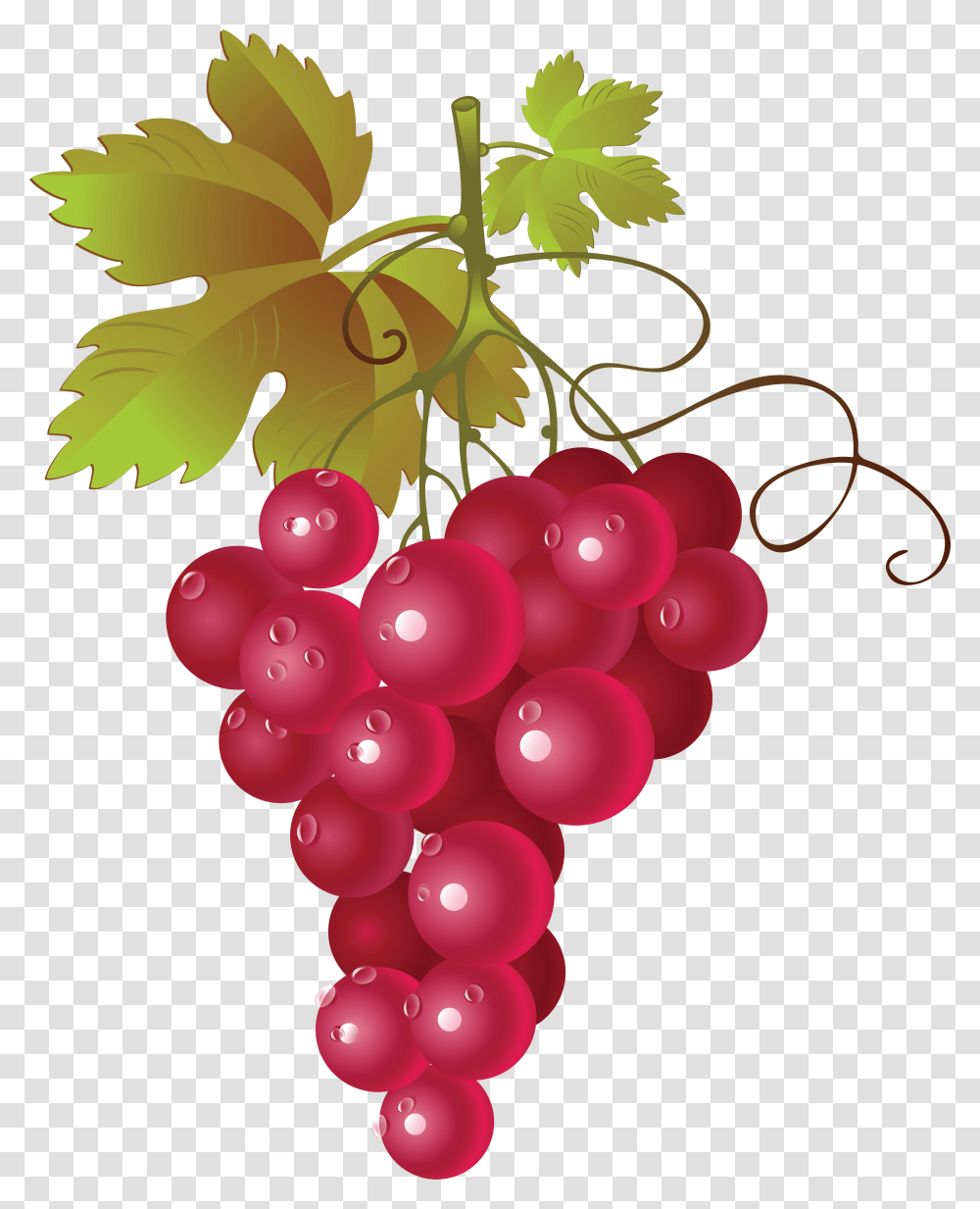 Grape, Fruit, Plant, Food, Grapes Transparent Png