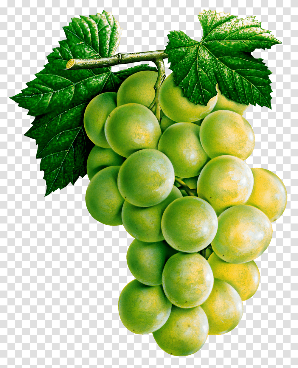 Grape, Fruit, Plant, Food, Grapes Transparent Png