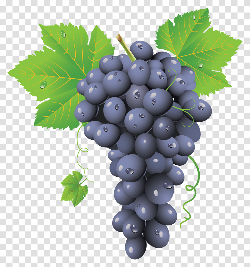 Grape, Fruit, Plant, Grapes, Food Transparent Png