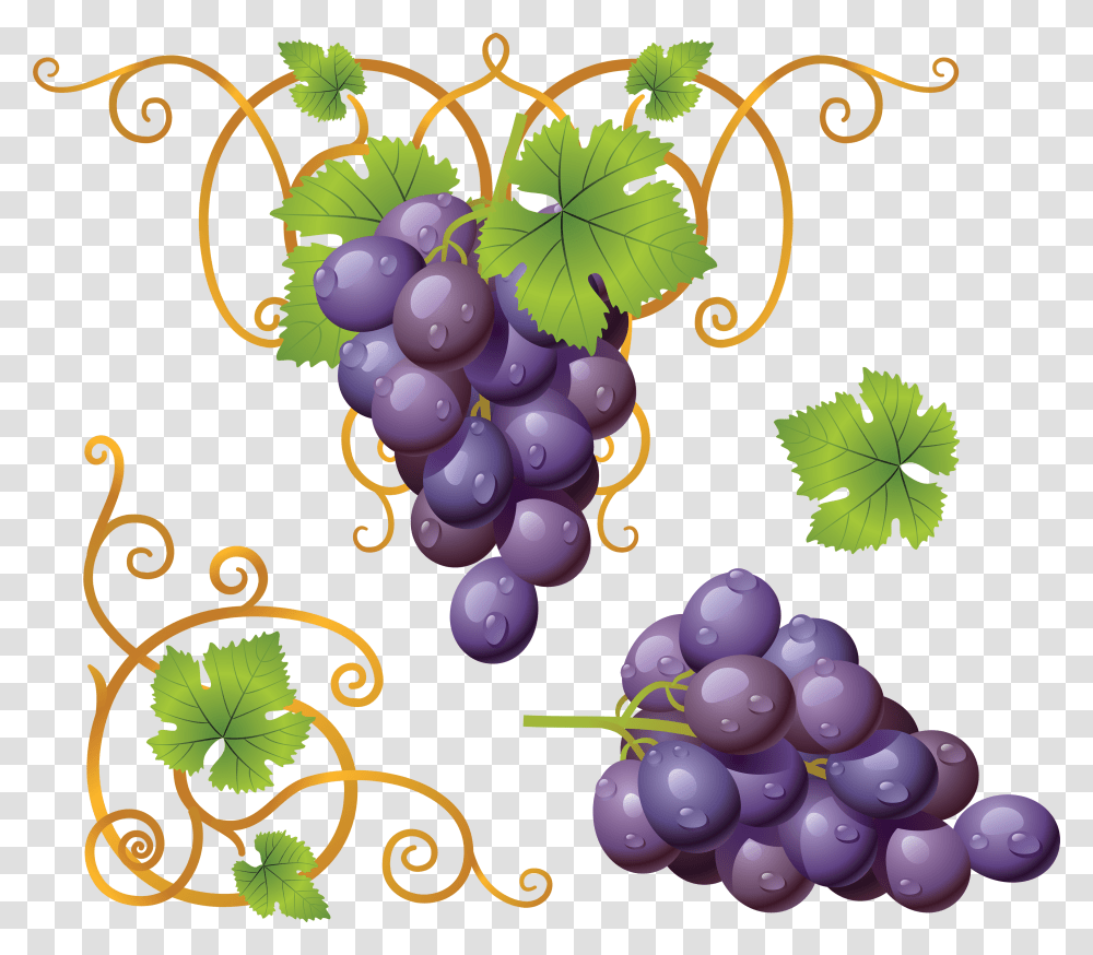 Grape, Fruit, Plant, Grapes, Food Transparent Png