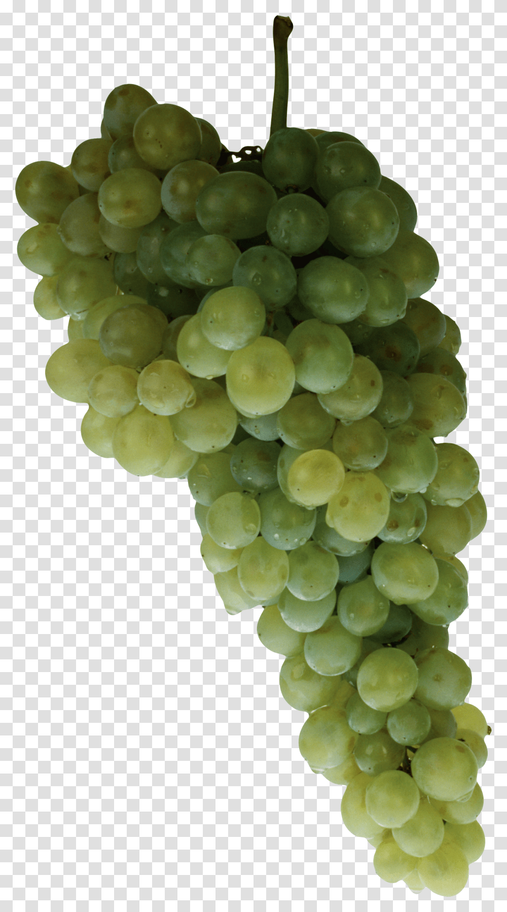 Grape, Fruit, Plant, Grapes, Food Transparent Png