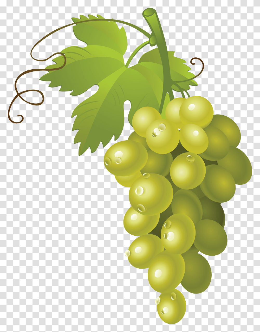 Grape, Fruit, Plant, Grapes, Food Transparent Png