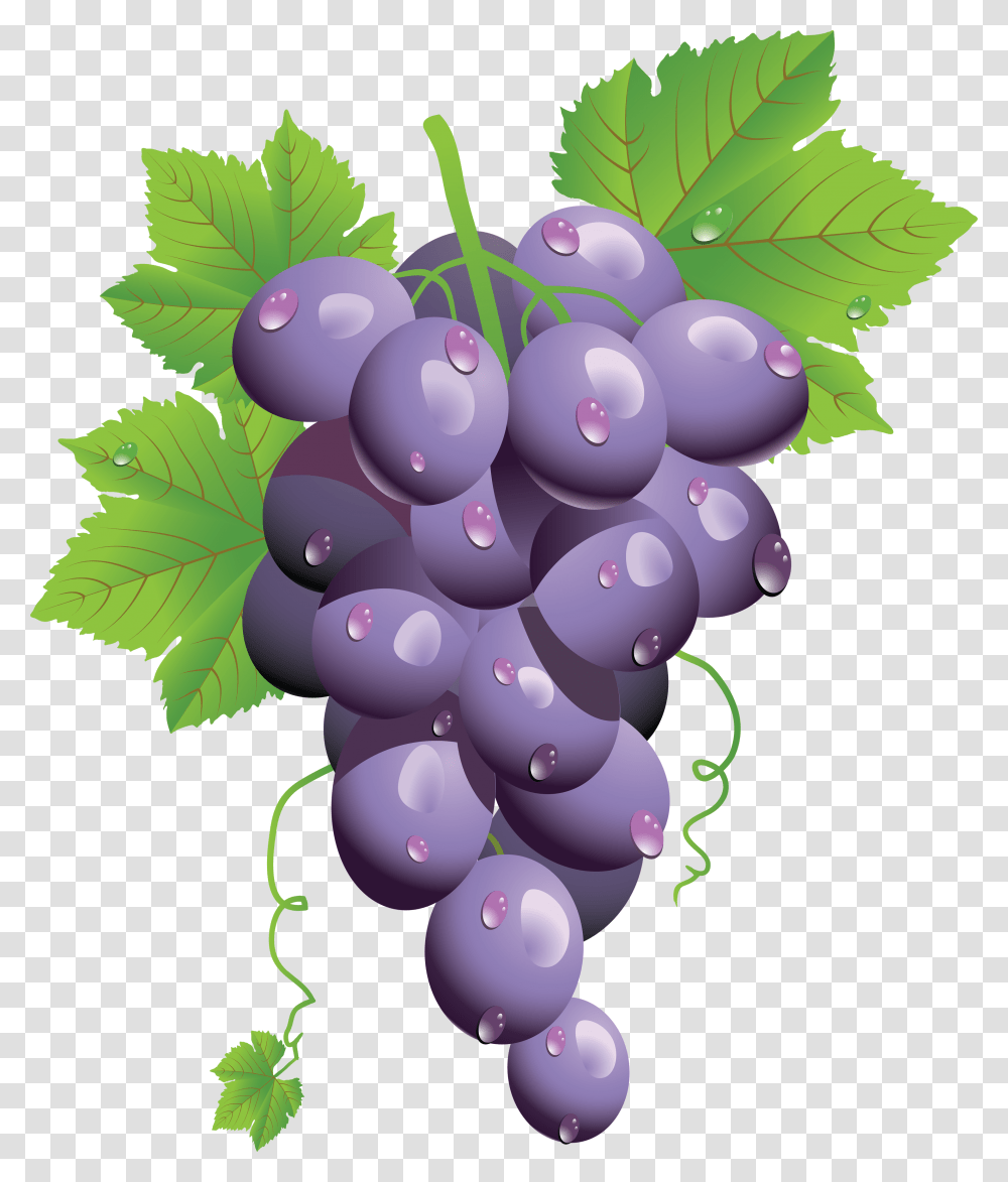 Grape, Fruit, Plant, Grapes, Food Transparent Png