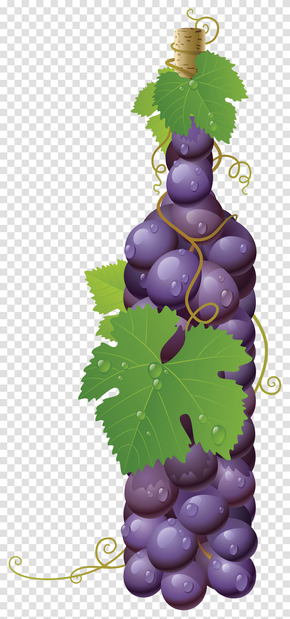 Grape, Fruit, Plant, Grapes, Food Transparent Png