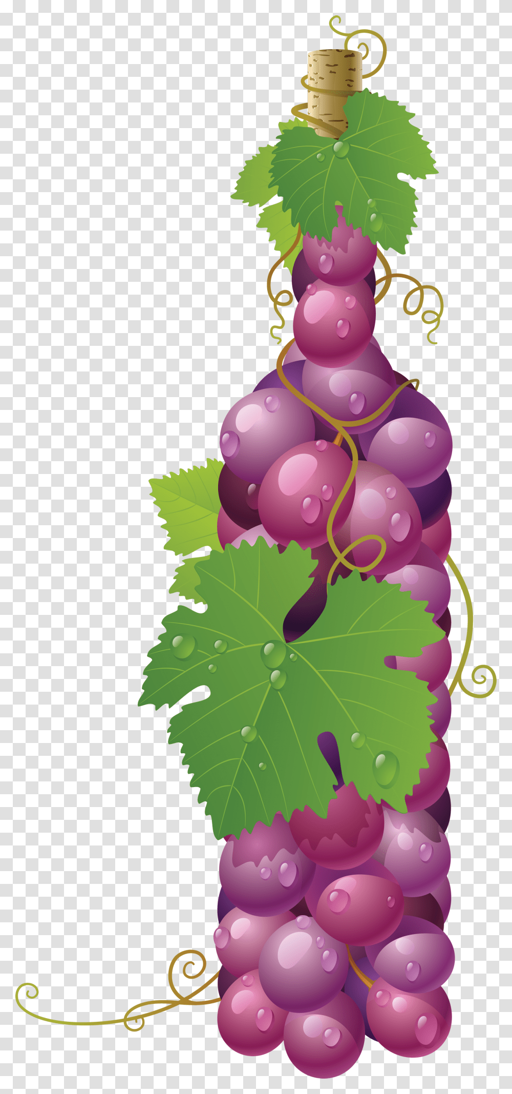 Grape, Fruit, Plant, Grapes, Food Transparent Png