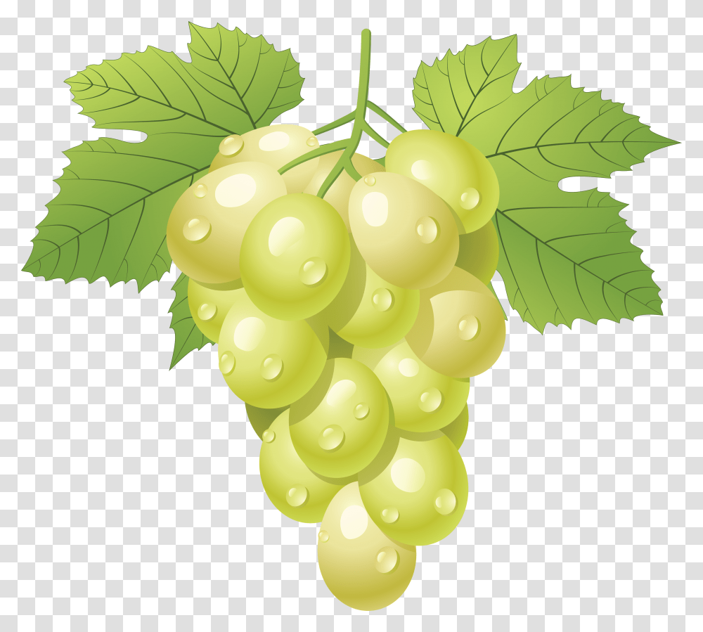 Grape, Fruit, Plant, Grapes, Food Transparent Png