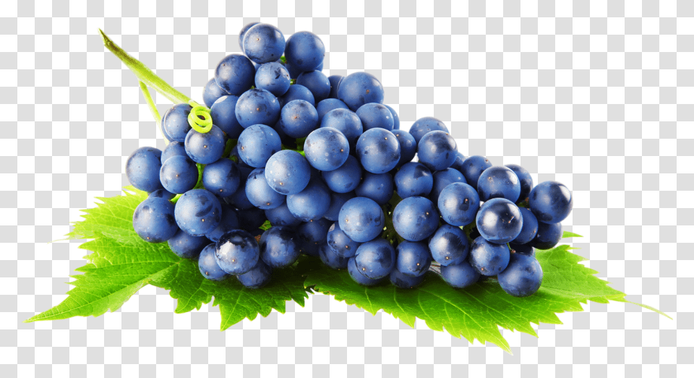 Grape, Fruit, Plant, Grapes, Food Transparent Png