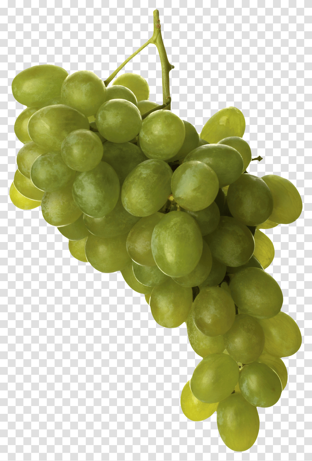 Grape, Fruit, Plant, Grapes, Food Transparent Png