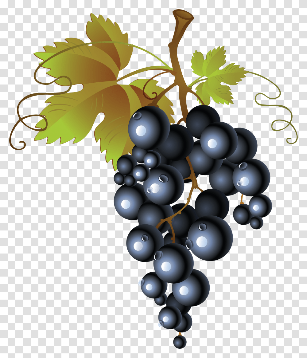 Grape, Fruit, Plant, Grapes, Food Transparent Png