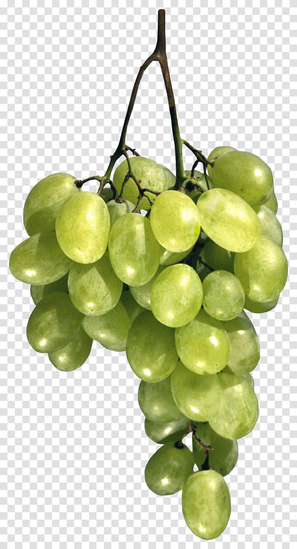 Grape, Fruit Transparent Png