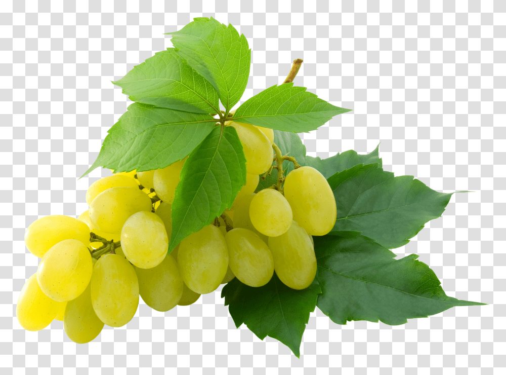 Grape, Fruit Transparent Png