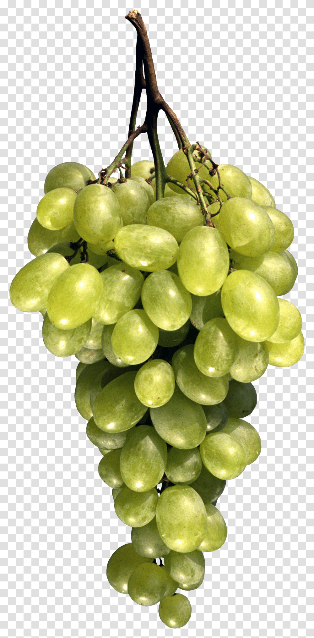 Grape, Fruit Transparent Png