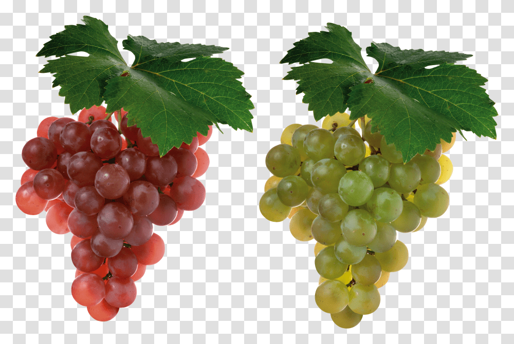 Grape, Fruit Transparent Png