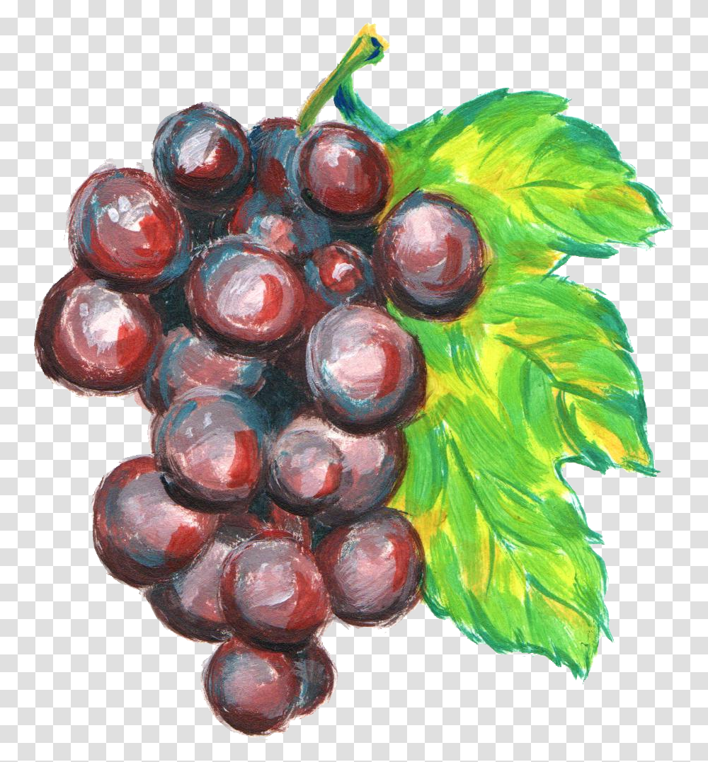 Grape Grape Watercolor, Plant, Grapes, Fruit, Food Transparent Png