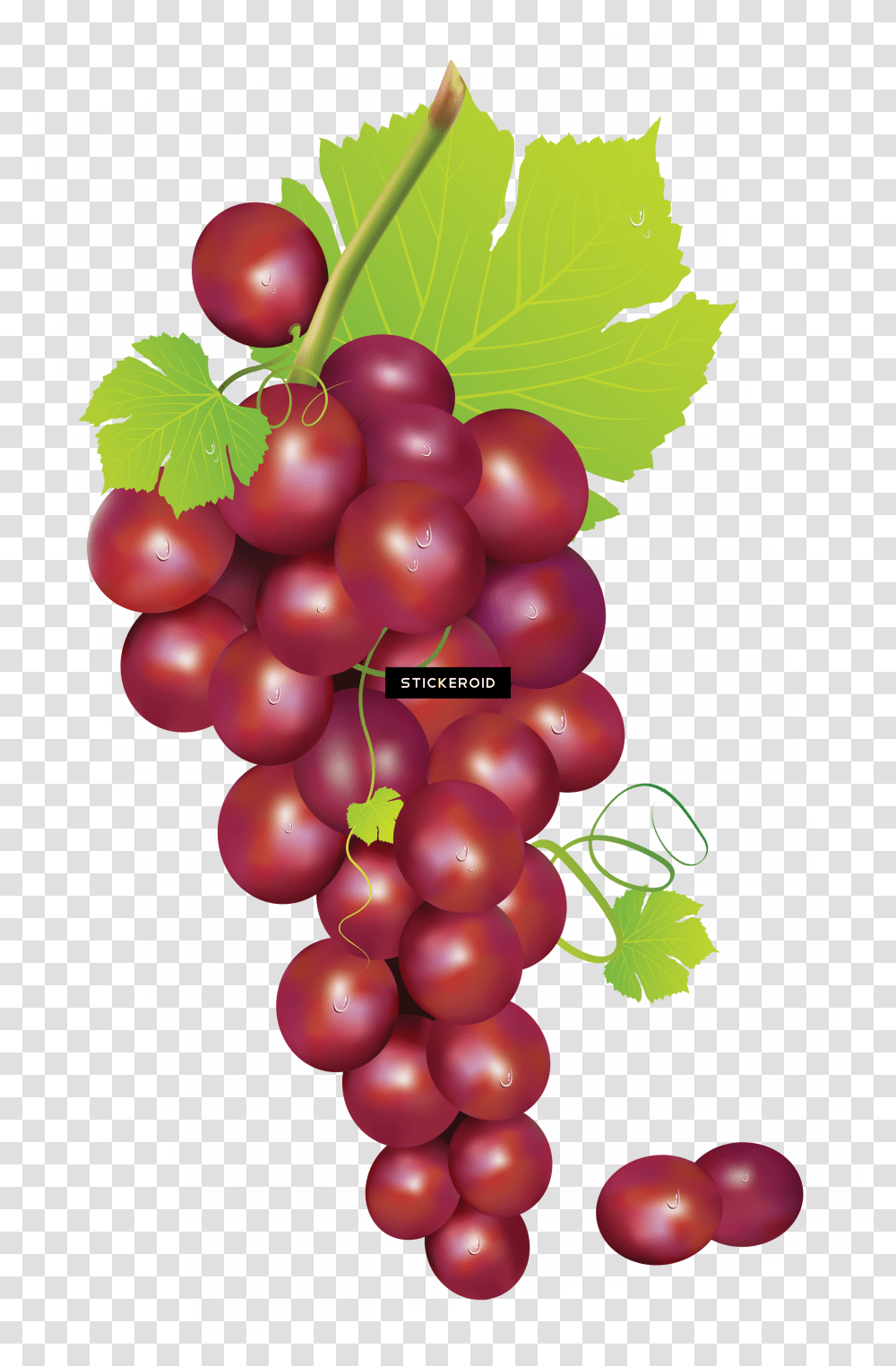 Grape, Grapes, Fruit, Plant, Food Transparent Png