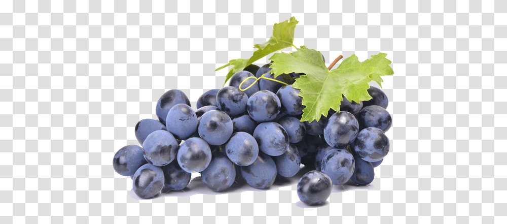 Grape Image Clip Art Grape, Plant, Grapes, Fruit, Food Transparent Png