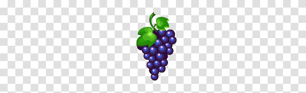 Grape Images, Grapes, Fruit, Plant, Food Transparent Png