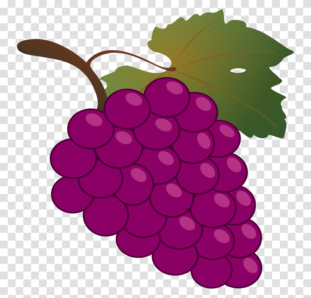 Grape Large Size, Plant, Grapes, Fruit, Food Transparent Png