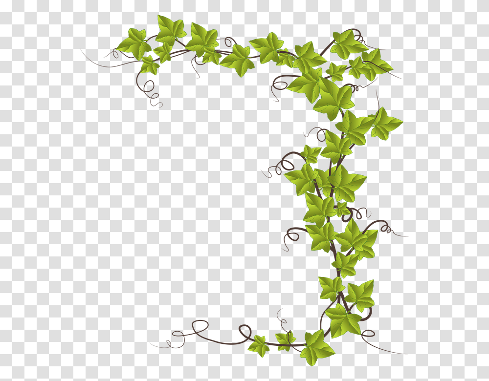 Grape Leaf Cliparts 22 Buy Clip Art Cartoon Ivy Plant, Vine Transparent Png