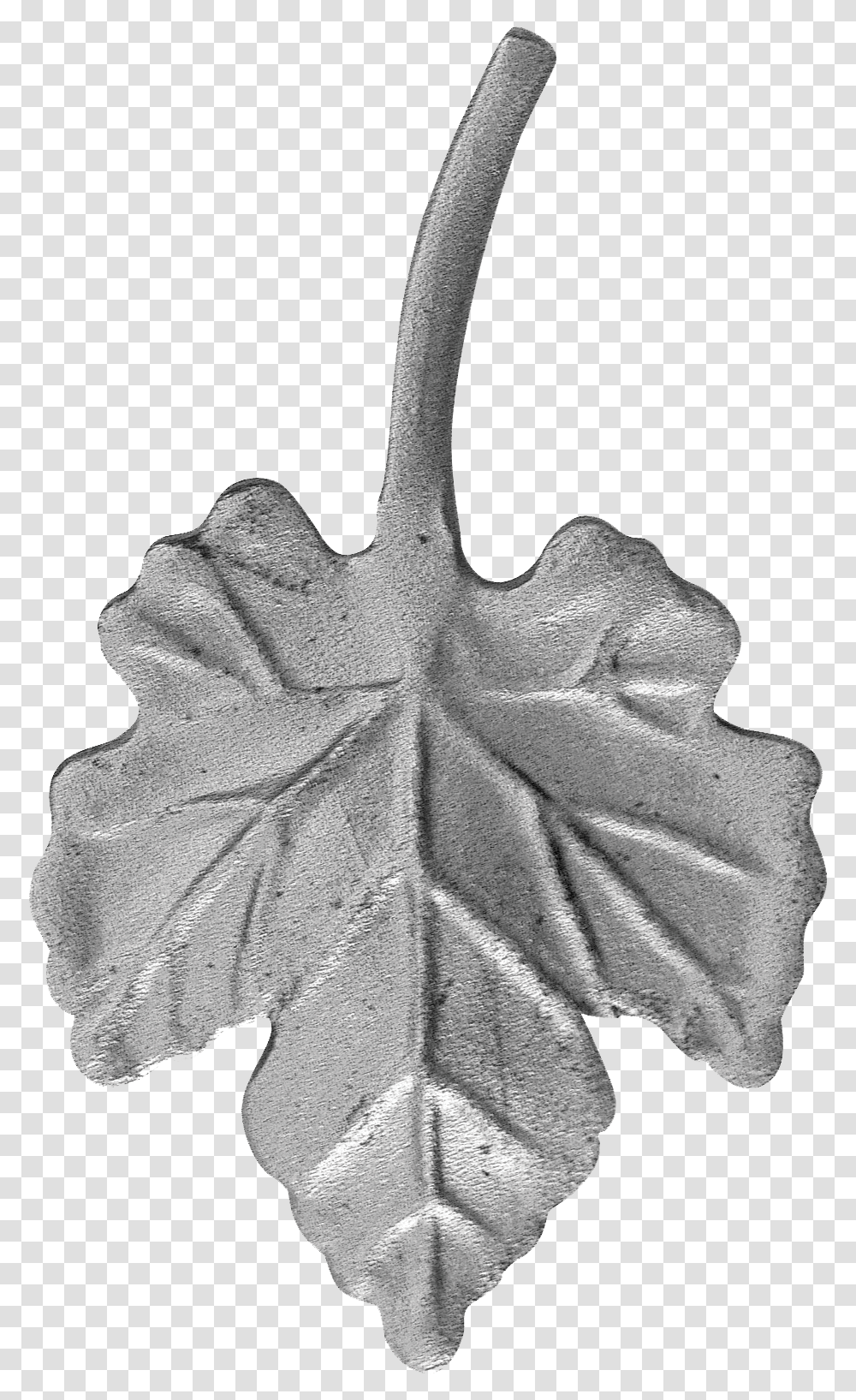 Grape Leaf Kovcsolt Vas Szllevl, Plant, Person, Human, Tree Transparent Png