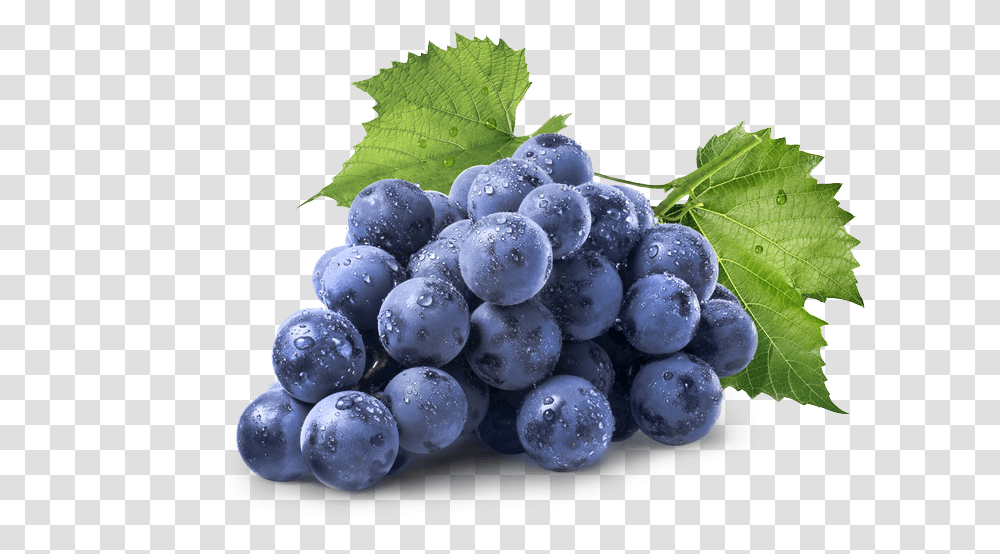Grape, Plant, Fruit, Food, Blueberry Transparent Png