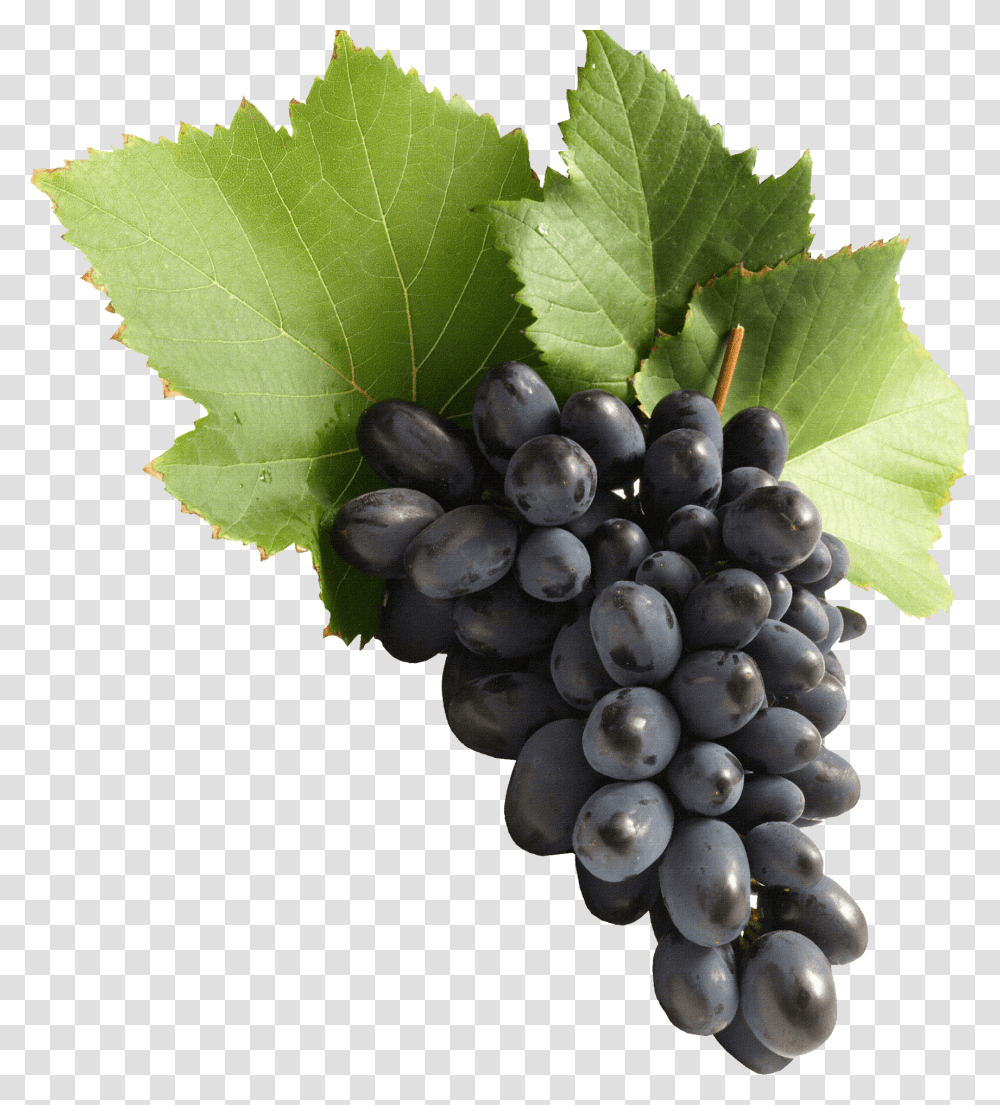 Grape, Plant, Grapes, Fruit, Food Transparent Png