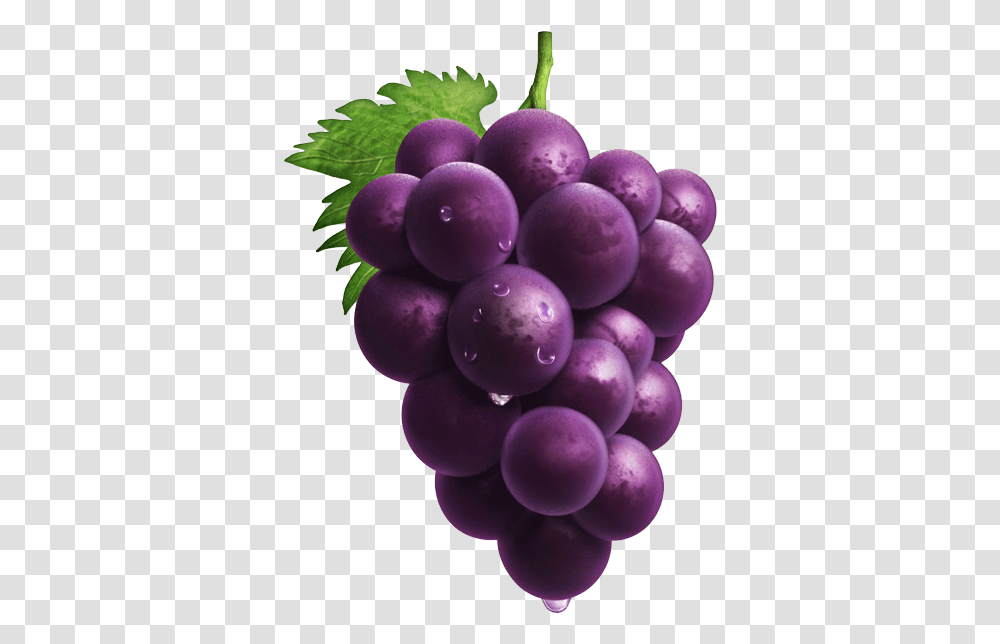 Grape Purple Grapes, Plant, Fruit, Food Transparent Png