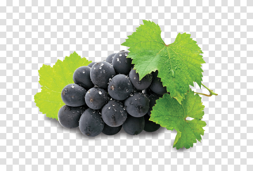 Grape Seed Extract Powder, Grapes, Fruit, Plant, Food Transparent Png