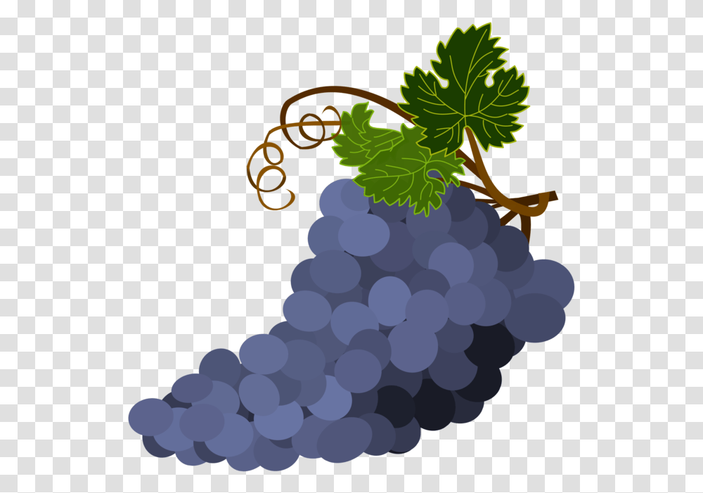 Grape Seed Extractplantgrape Grape Clipart On Background, Grapes, Fruit, Food, Rug Transparent Png