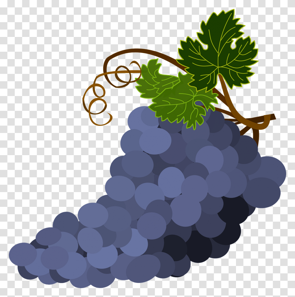 Grape Seed Extractplantgrape Grapes With Background, Fruit, Food Transparent Png