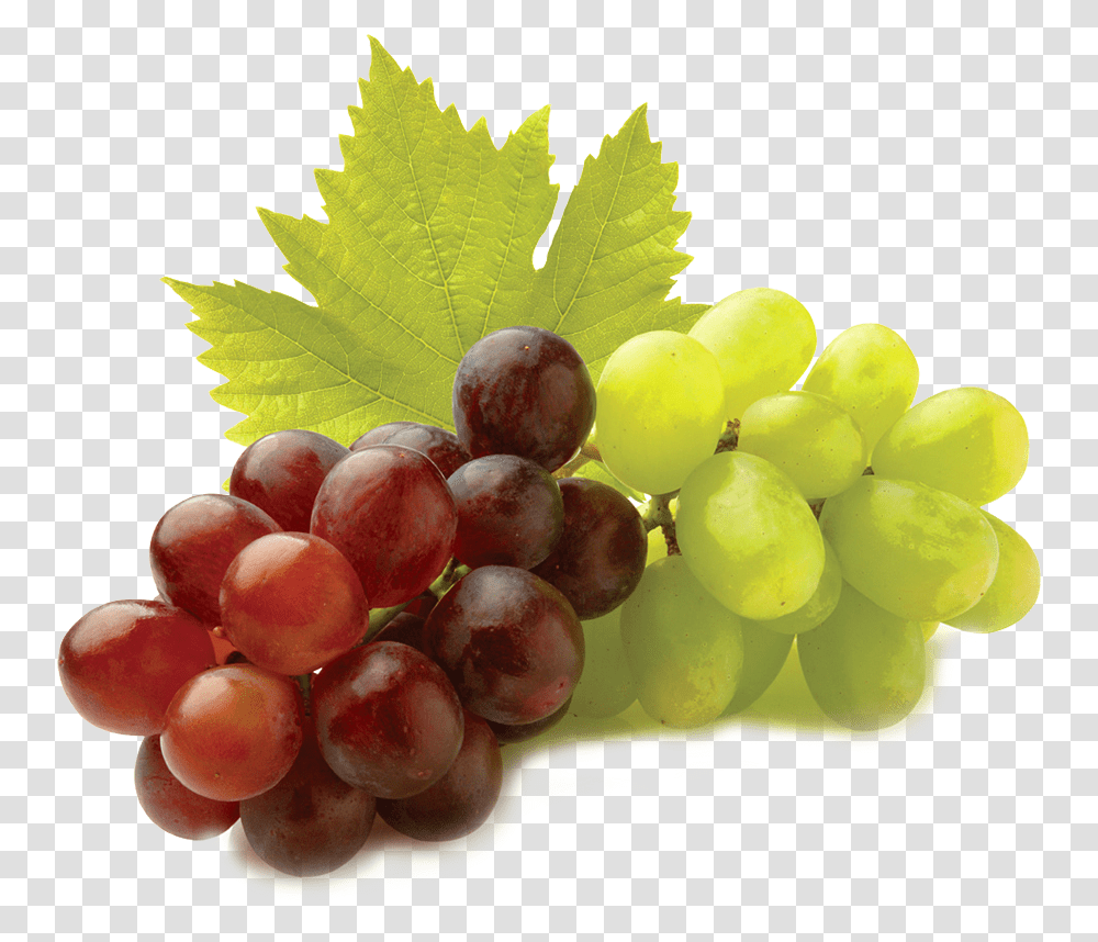 Grape Seed Extracts Gif, Plant, Grapes, Fruit, Food Transparent Png