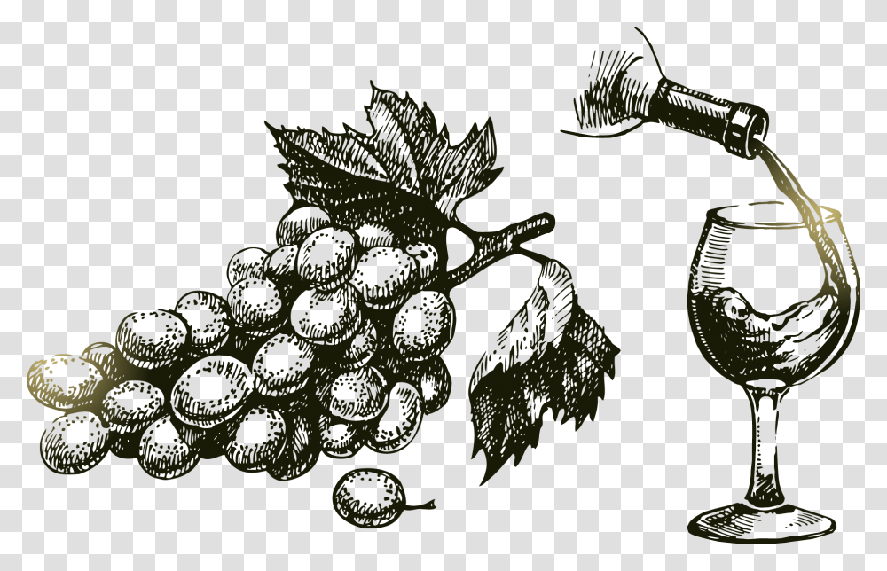 Grape Vine At Getdrawings Com Free For Uvas Y Vino Dibujo, Plant, Chandelier, Lamp, Fruit Transparent Png