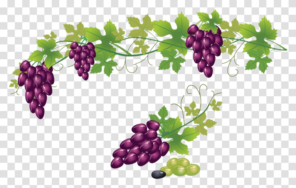 Grape Vine Background Download Background Grape Vine, Grapes, Fruit, Plant, Food Transparent Png