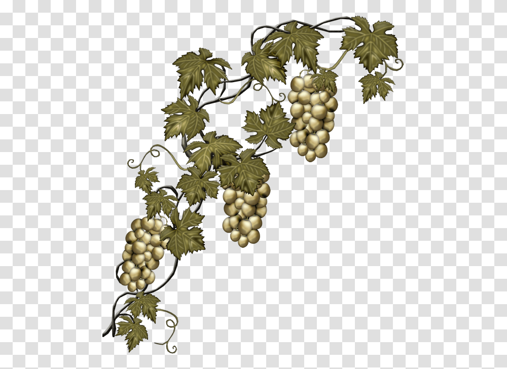 Grape Vine Border, Grapes, Fruit, Plant, Food Transparent Png