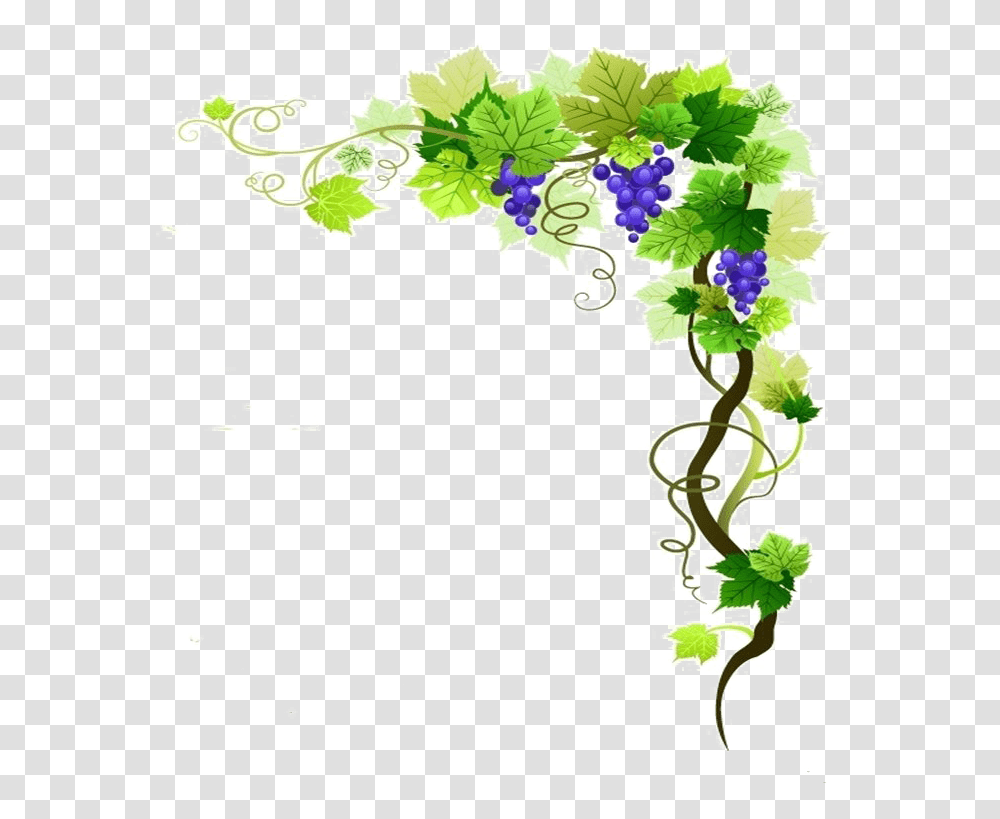 Grape Vine Border, Floral Design, Pattern Transparent Png