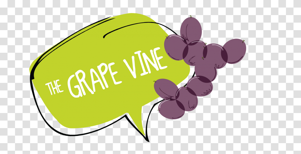 Grape Vine Website Banner, Plant, Grapes, Fruit, Food Transparent Png