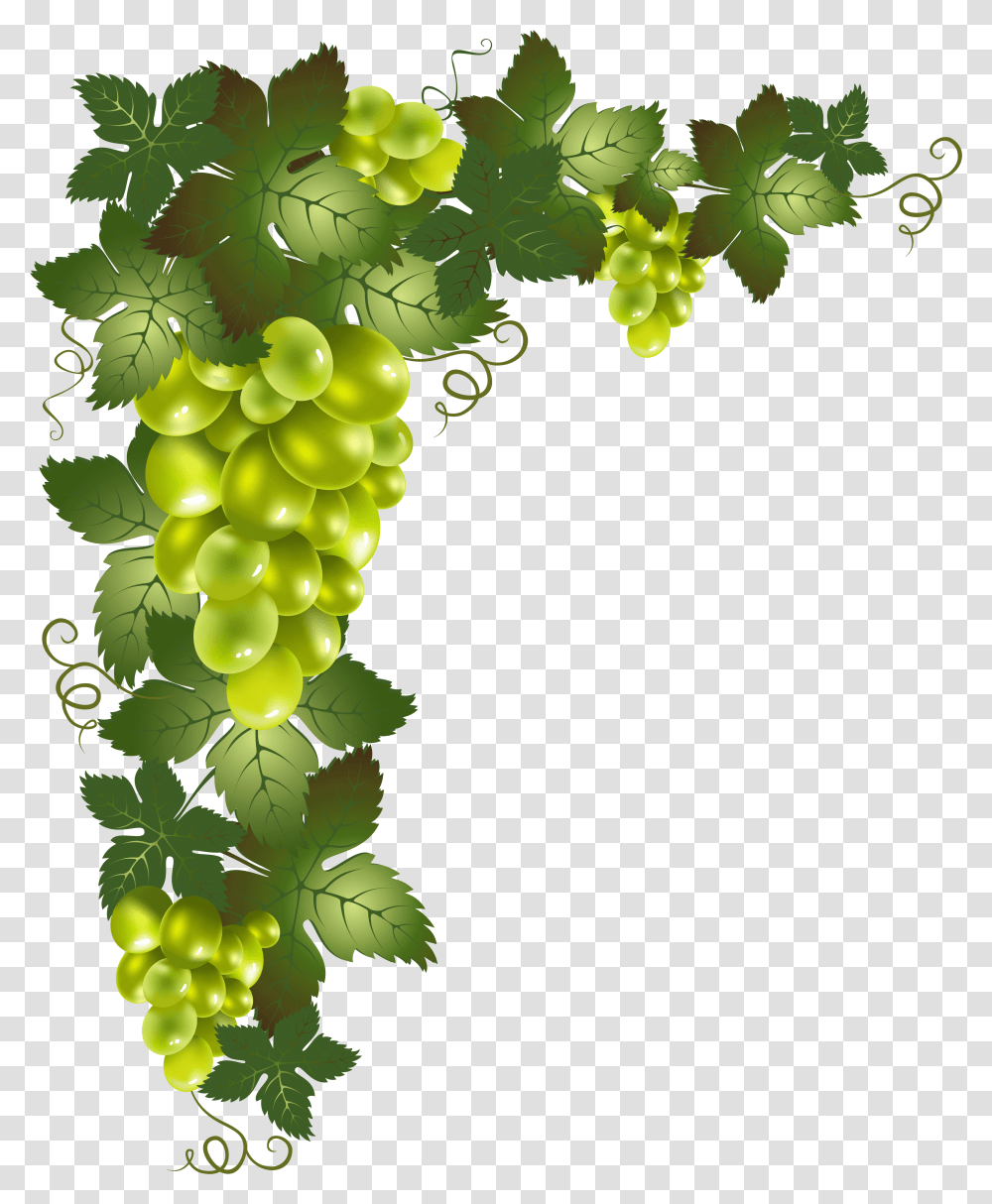 Grape Vines Background Grape Vine Clipart, Grapes, Fruit, Plant, Food Transparent Png