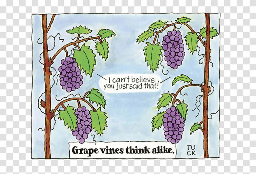 Grape Vines, Grapes, Fruit, Plant, Food Transparent Png