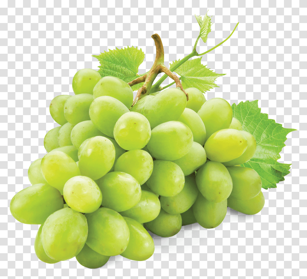 Grape White Grape White, Plant, Grapes, Fruit, Food Transparent Png