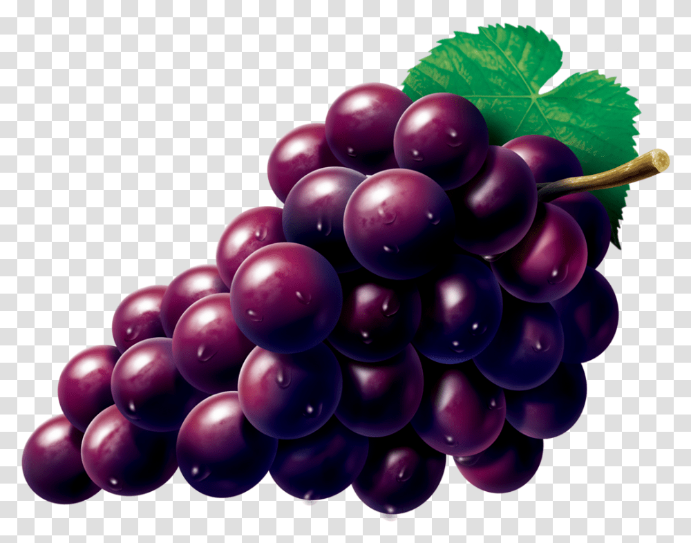 Grape Zante Currant Seedless Fruit Grapes Fruit, Plant, Food, Balloon Transparent Png